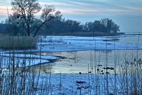 winter landscape on lake constance