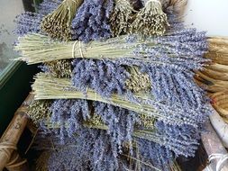 bundles of lavender