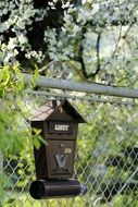 mailbox under blooming cherry