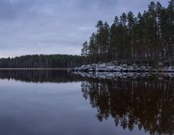 conifers are reflected in the water of the lake at dusk