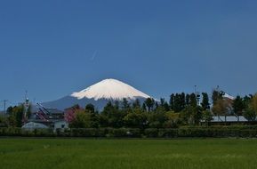 Fuji is a stratovolcano in Japan