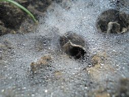 foam after rain close-up