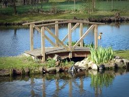 wooden bridge in garden design