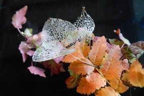 bright autumn foliage as a decor