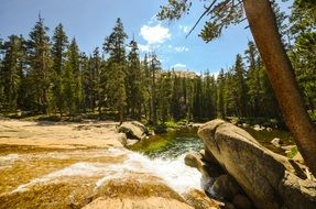 Beautiful landscape of the green forest and Merced river