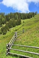 fence in the mountain meadows of the Alps