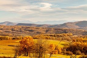 Wildlife photo in autumn in Bulgaria