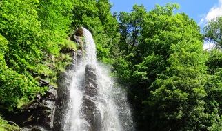 waterfall among green plants on a rock