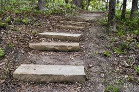 Woods Steps