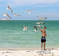 young man with seagulls on a caribbean beach