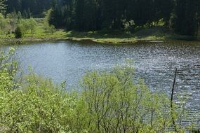 grumbach pond on a sunny day