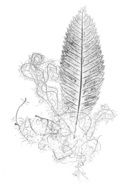 Leaves Natural Silhouette drawing