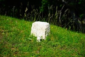 white stone on green grass