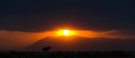 sunset safari in africa