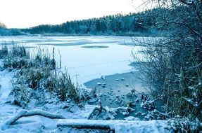 blue Winter Landscape with forest at lake, sweden