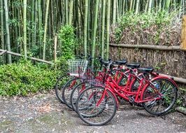 red bikes parked at Bamboo Forest, Japan, kyoto, Arashiyama