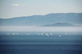 panoramic view of sailboats on a lake near a hill