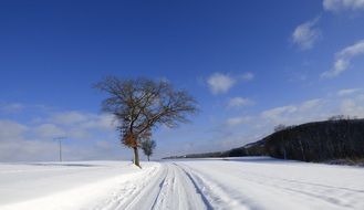 panorama of a snowy road in Luxembourg