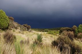 landscape of dark sky in countryside of New Zealand