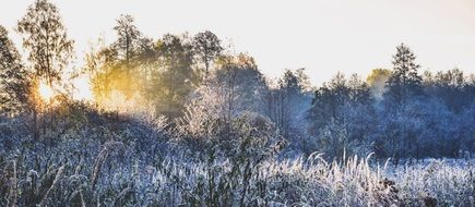 Nature Winter Morning, poland