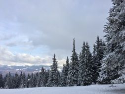 Landscape Winter Snow cloud Sky view