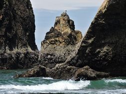 Oregon ocean coast