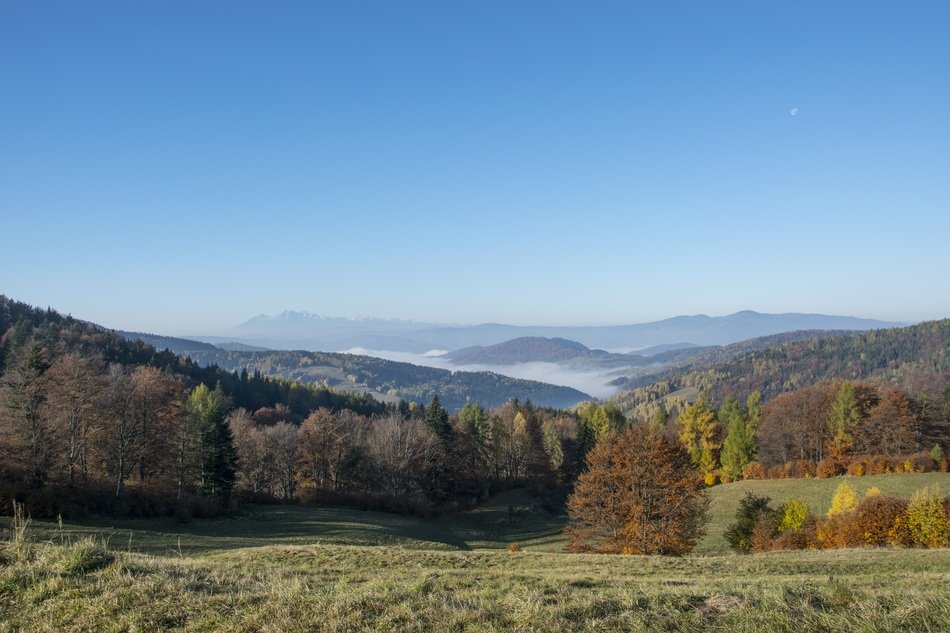 Landscape with the mountains in Autumngold