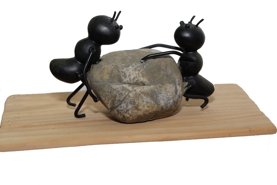 Strong Ants and stone