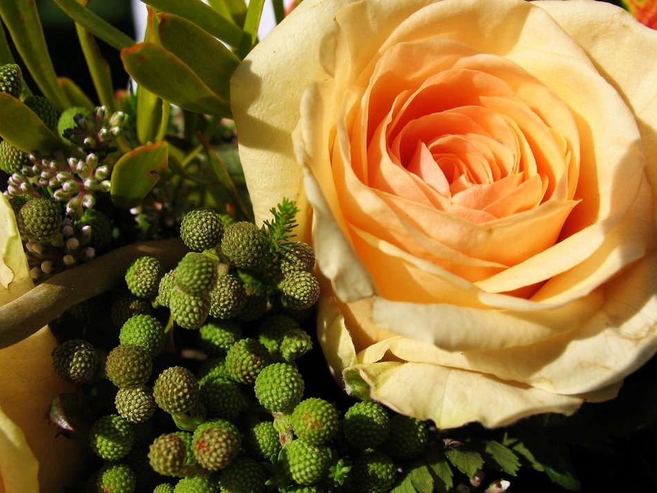 Flower Plant Bouquet