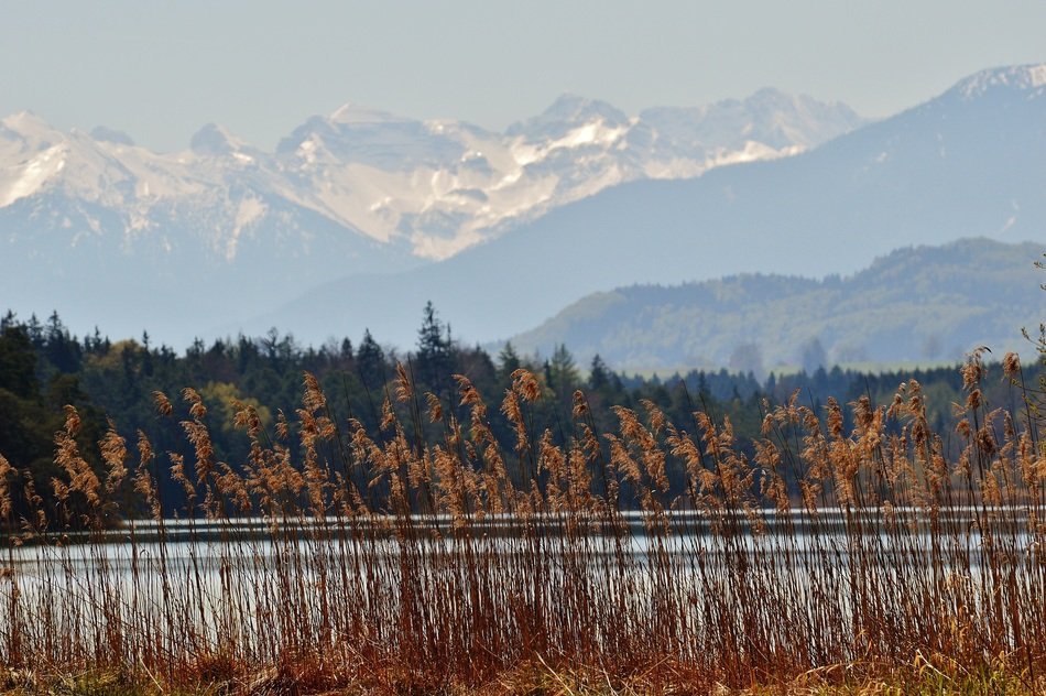 dry grass near the lake near the picturesque mountains