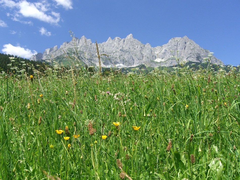 Wilder Kaiser Mountain Side Tirol