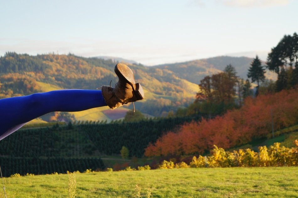 leg in a brown boot on a background of the countryside
