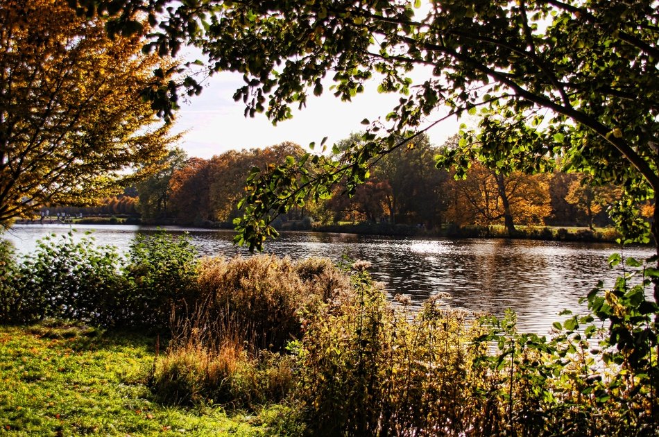 Schlosspark Charlottenburg forest Lake nature landscape