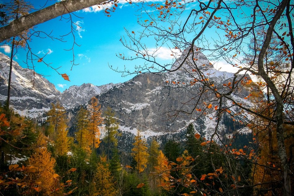 mountains behind autumn trees
