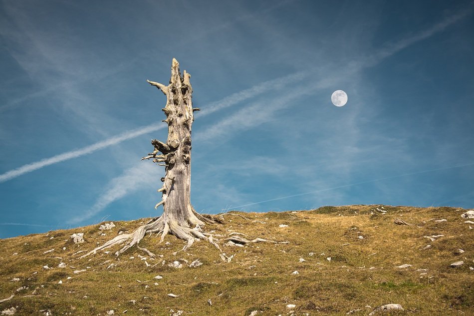 moon over the mountain in the afternoon