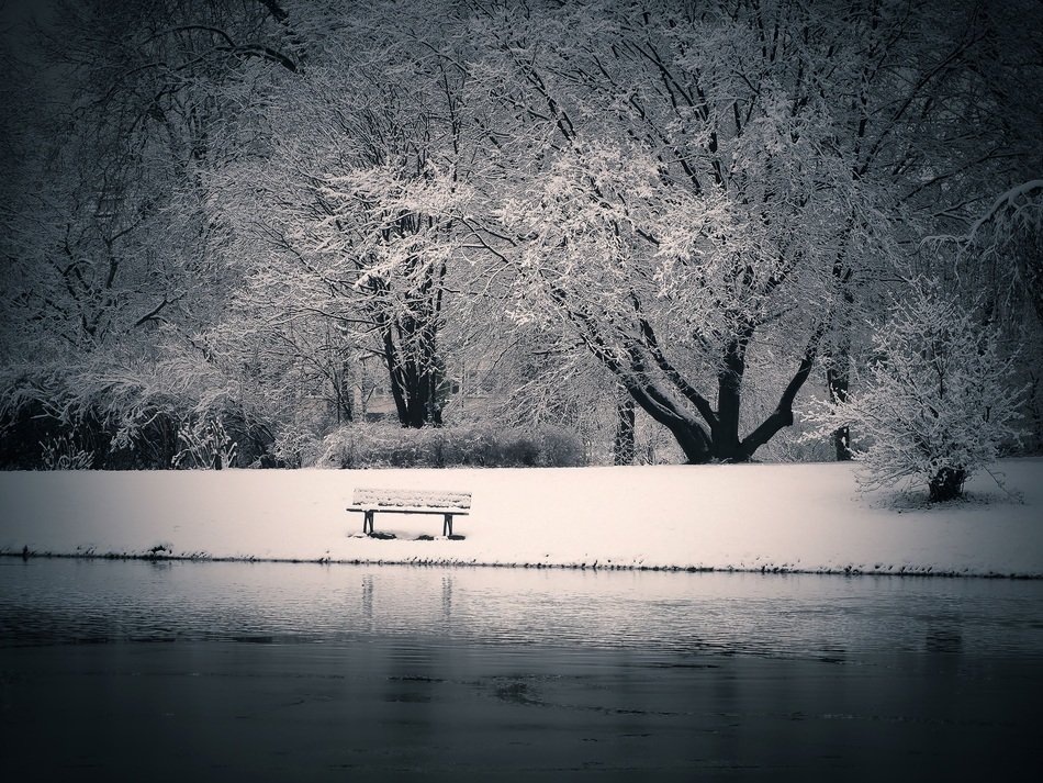 bench near the pond in the snowy landscape