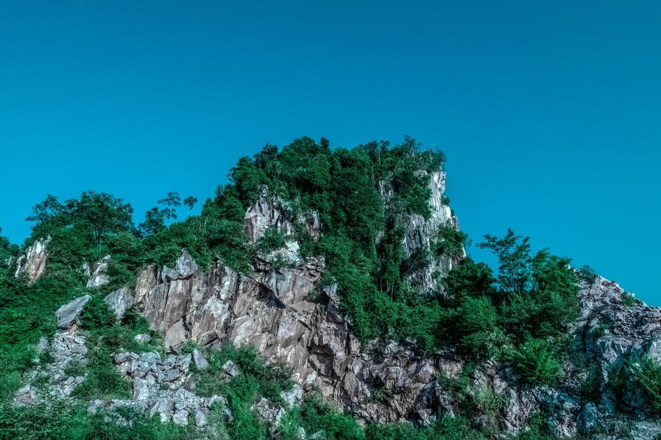 green trees on a rock under a blue sky