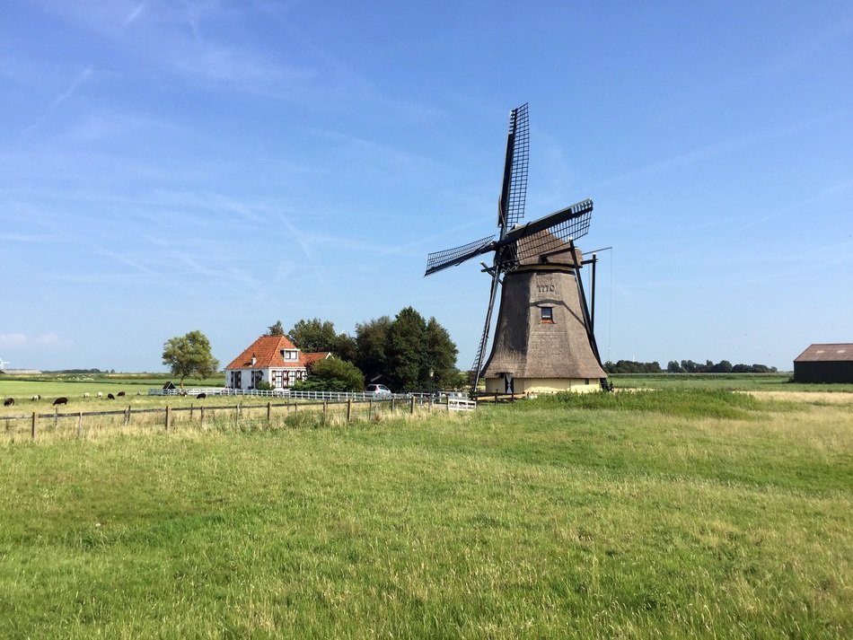 wooden mill in a wide field in the netherlands