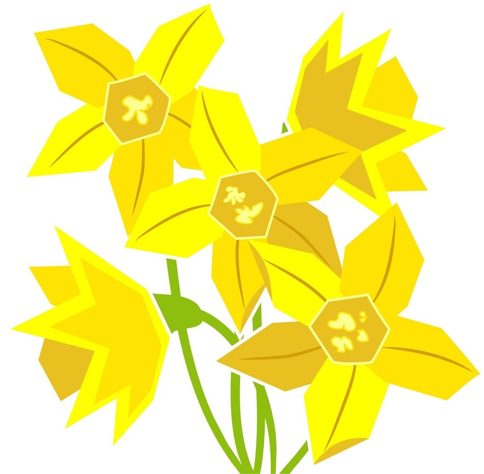 clip art of yellow daffodils