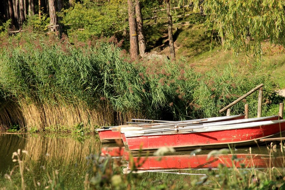 wooden boat on the lake