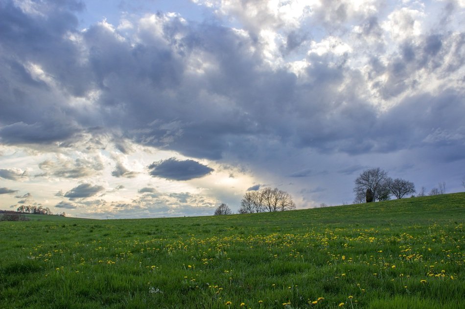 Beautiful landscape with the clouds and meadow