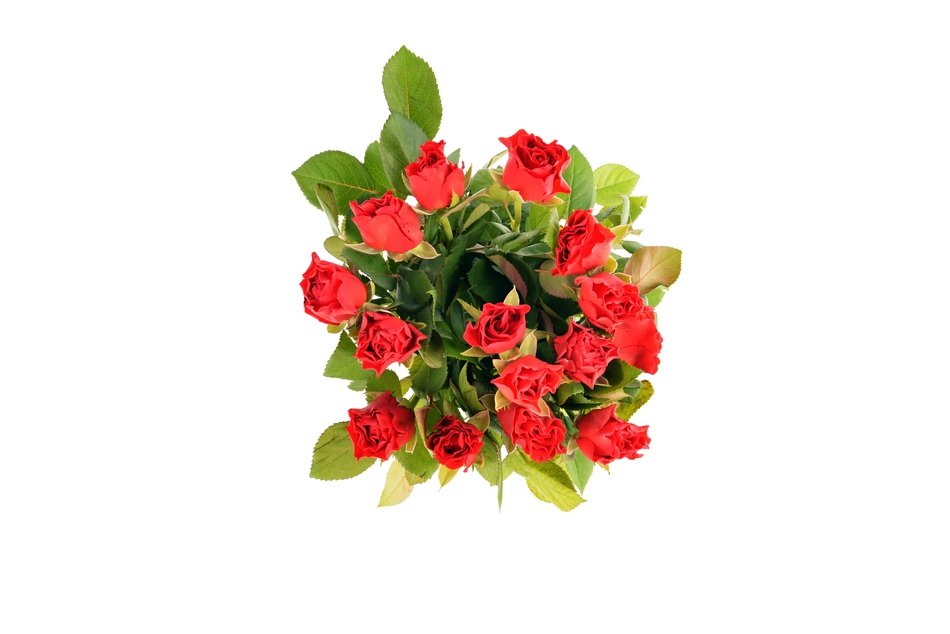 bouquet of red roses, top view