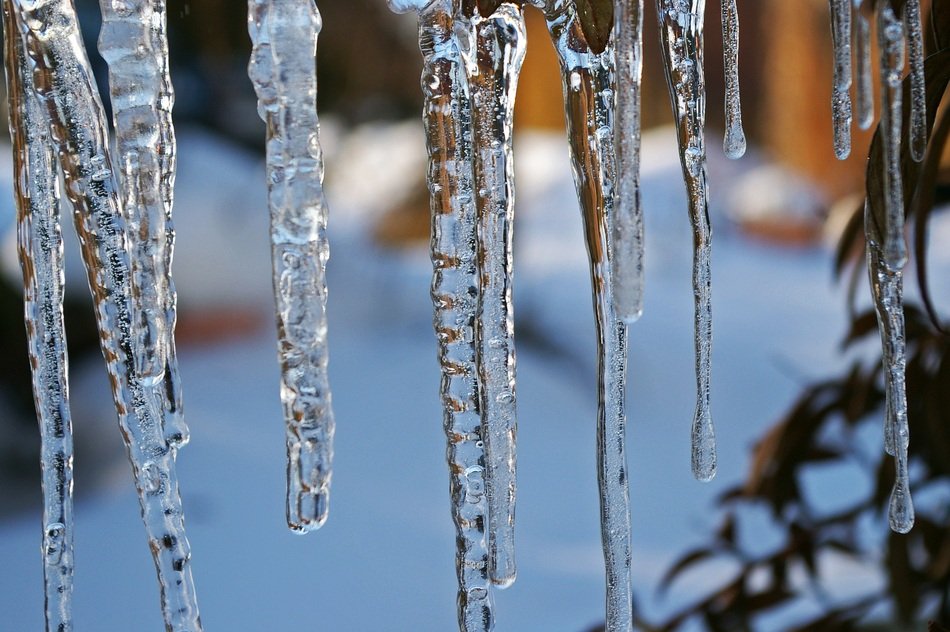 icicles in winter