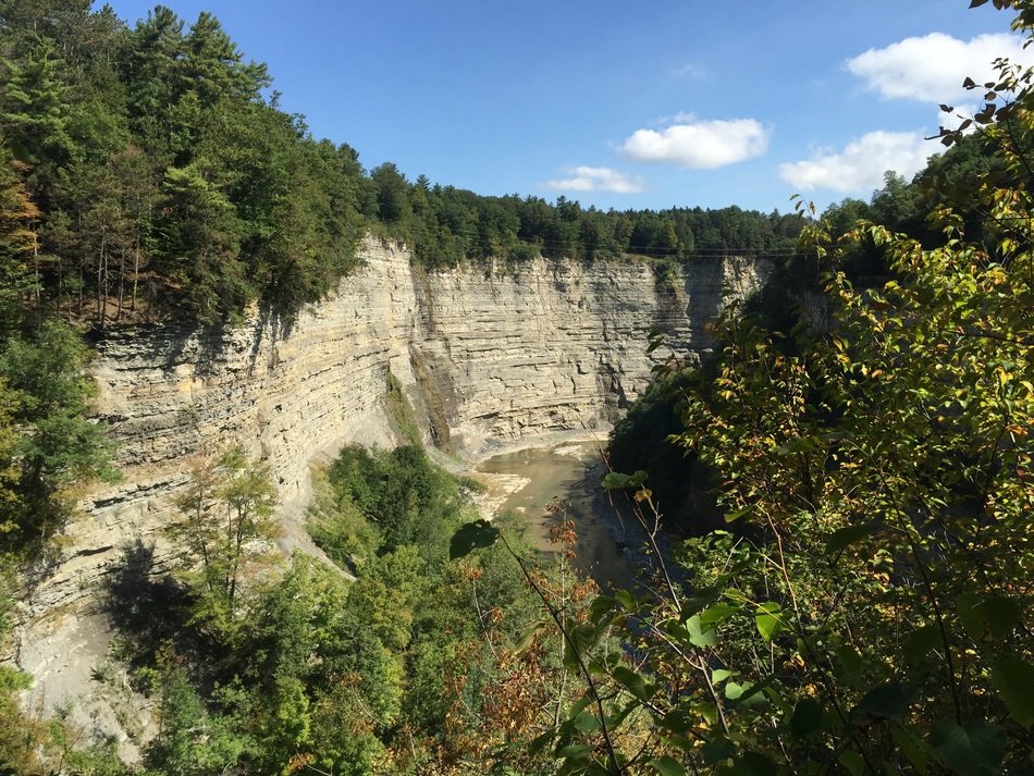 gorge with green plants