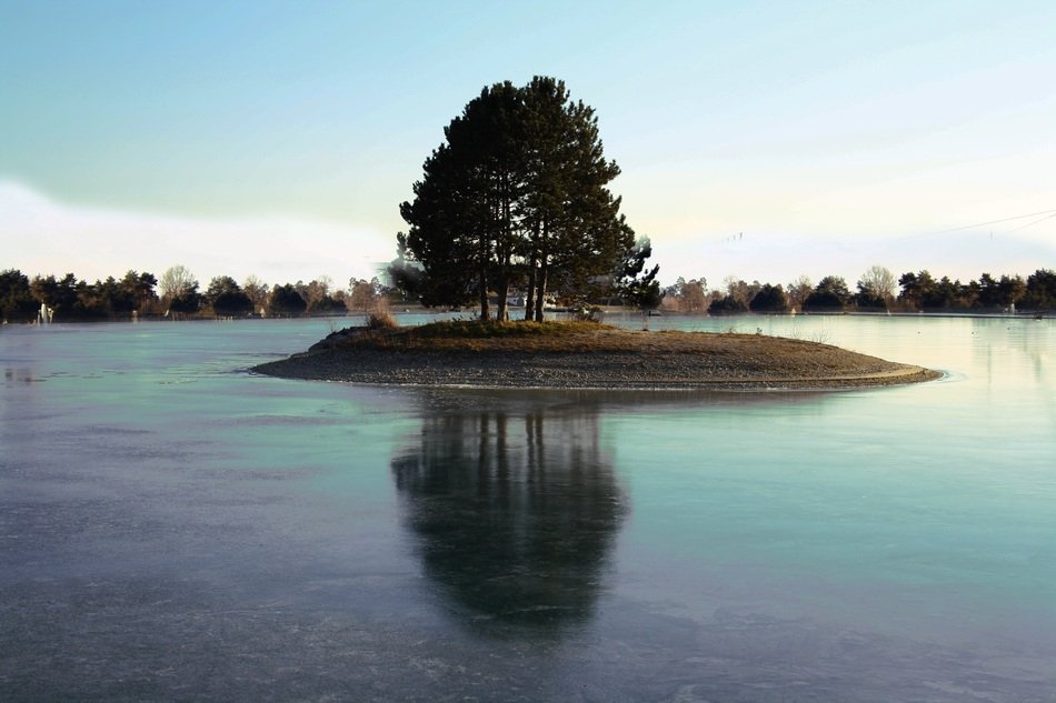 trees on a small island among the lake