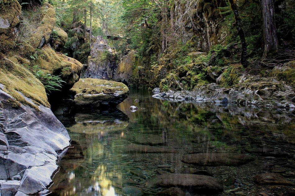 Opal Creek in Willamette National Forest