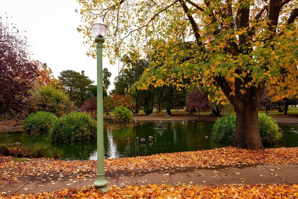 Autumn in a Sacramento