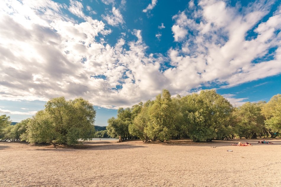 summer day on the bank of the danube