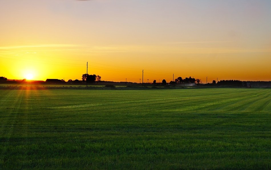 sunrise behind the green field