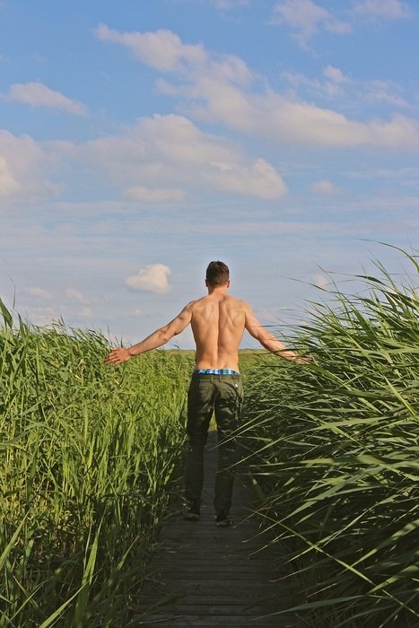man among the green high grass